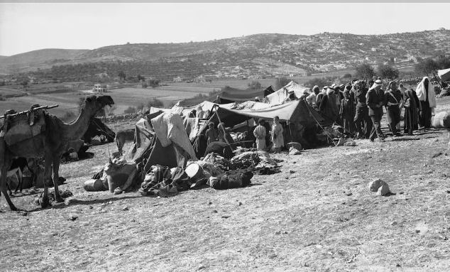 طرد الفلسطينيين فى 48