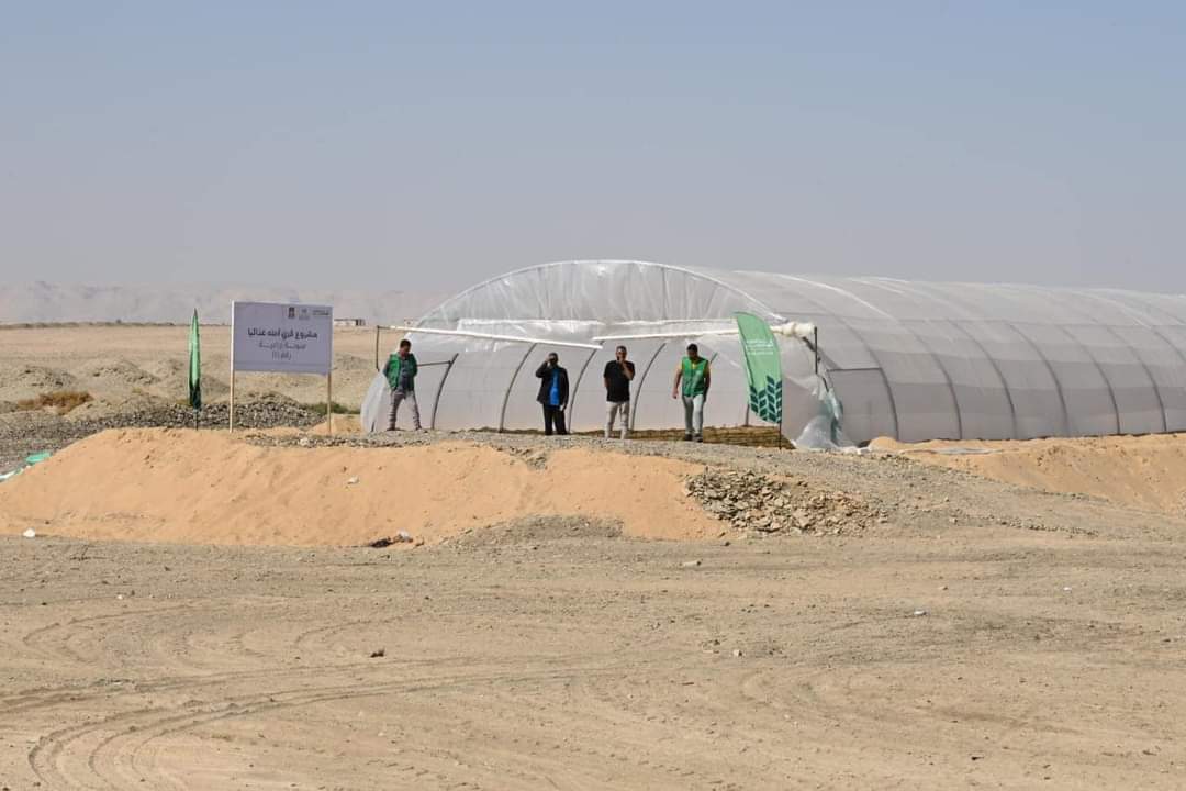  مشروع قرى آمنة غذائيًا بمركز الفرافرة (5)