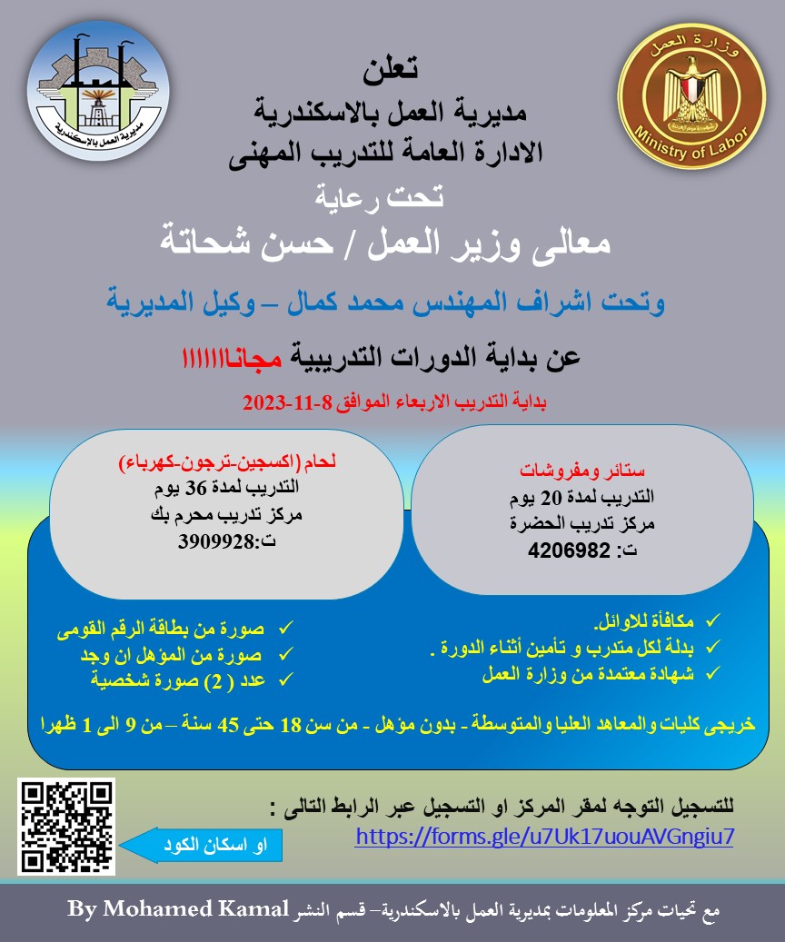 دورات تدريبية مجانية على 4 مهن لشباب الأسكندرية