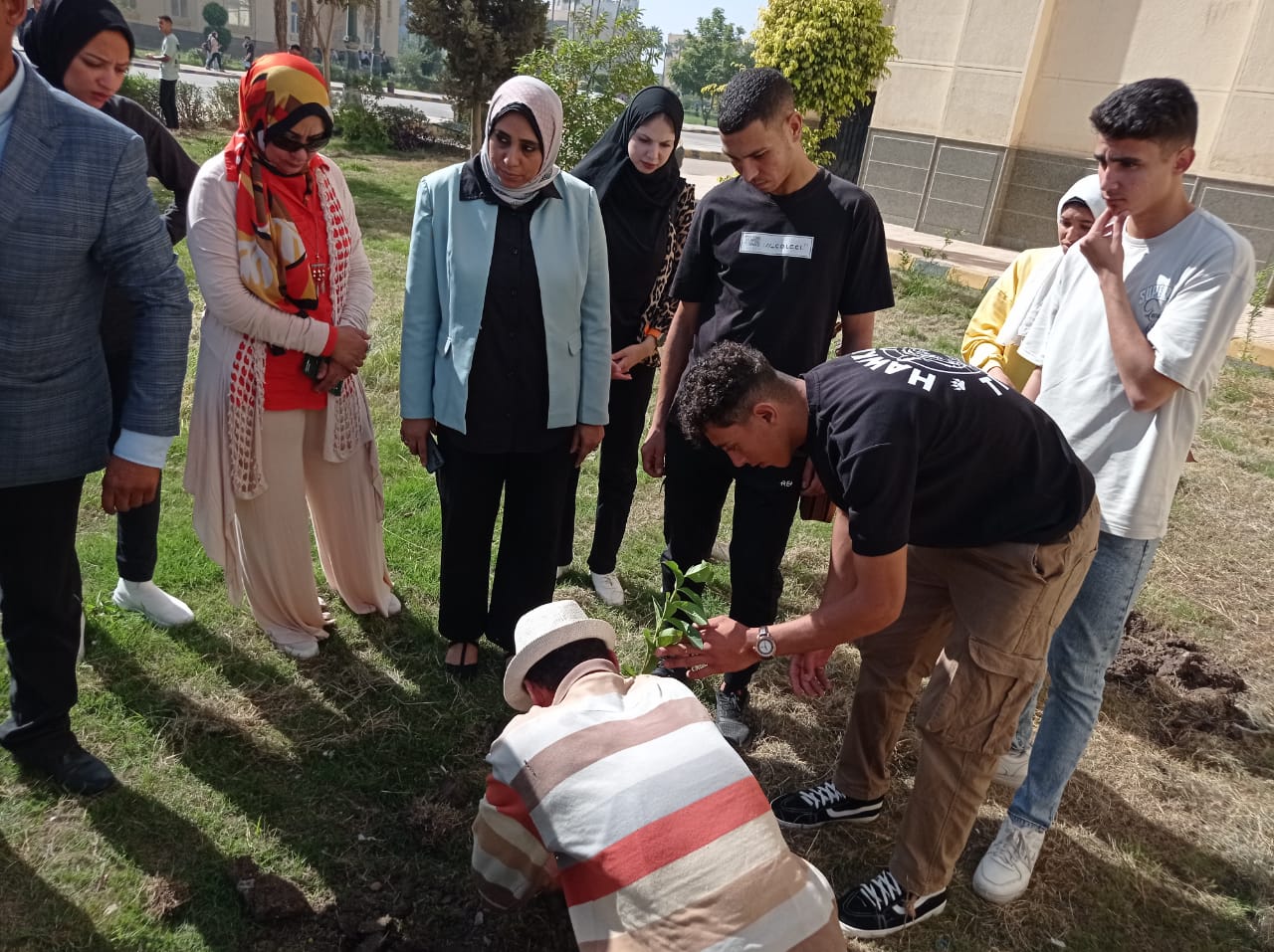 زراعة الاشجار بجامعة كفر الشيخ