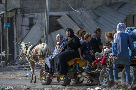 إخلاء سكان شمال قطاع غزة (4)