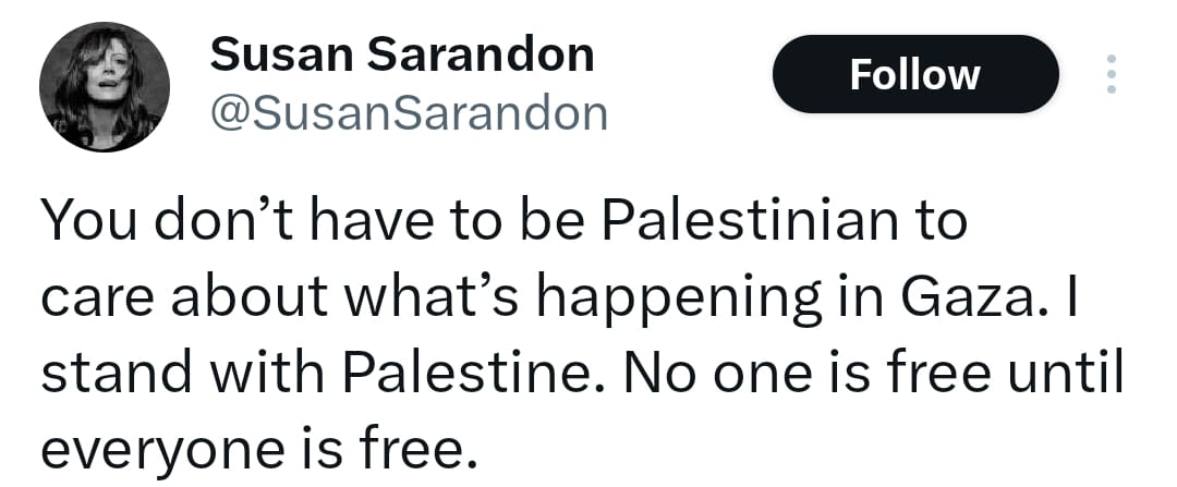 بالكوفية وبالتويتات وبفيديوهات تفضح الاحتلال.. سوزان ساراندون تدعم غزة (3)