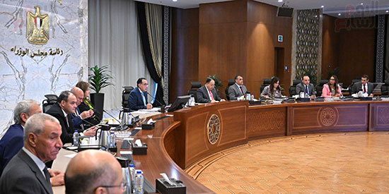 رئيس الوزراء يترأس اجتماع المجلس الأعلى لصناعة السيارات  (3)
