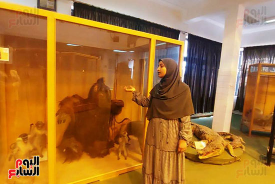 متحف الحياة البرية بجامعة قناة السويس (21)