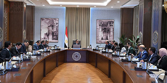 اجتماع المجلس الأعلى للطاقة (3)
