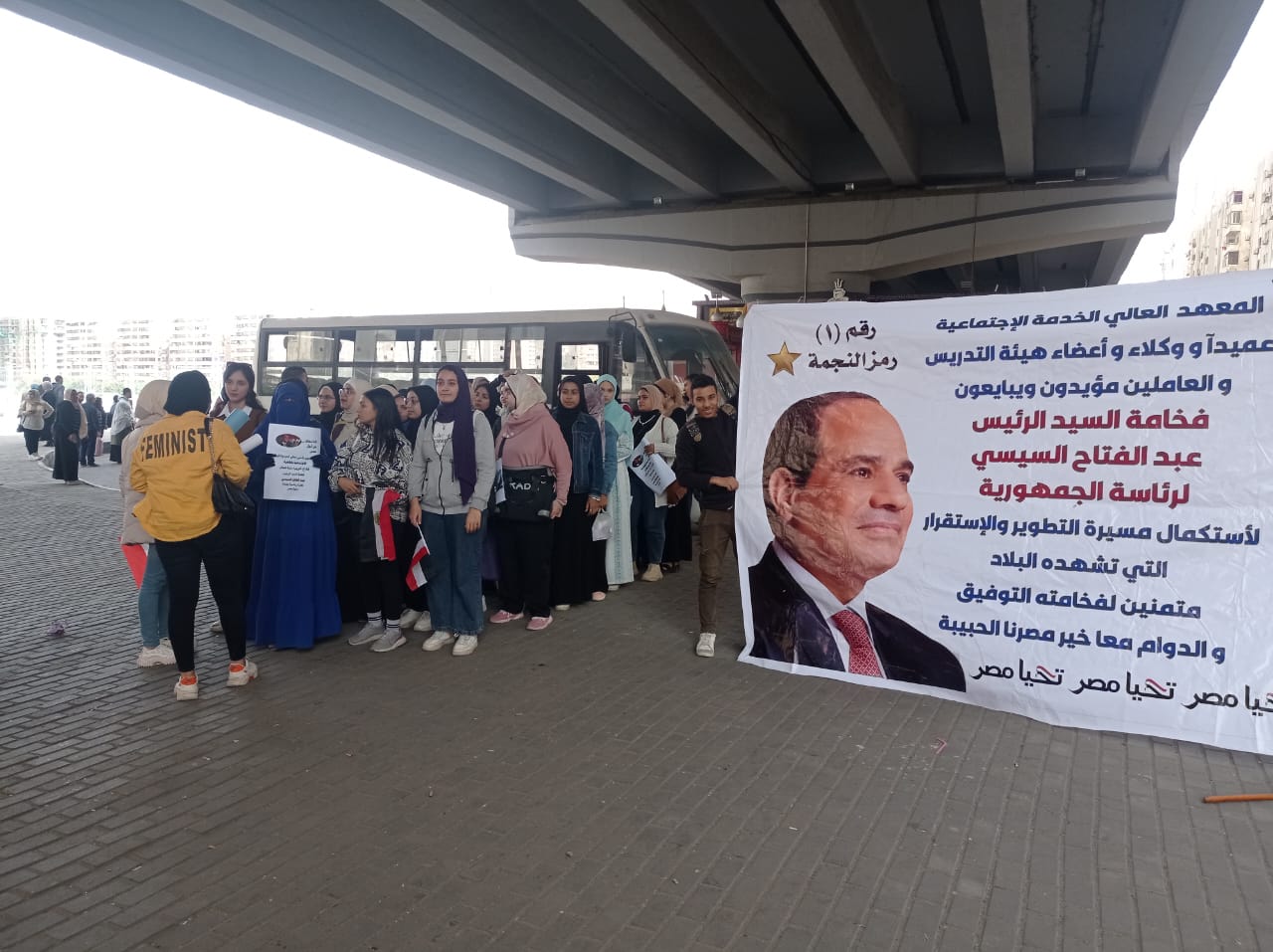 هيئة تدريس معهد خدمة اجتماعية بالقاهرة يرفعون لافتة دعم السيسي