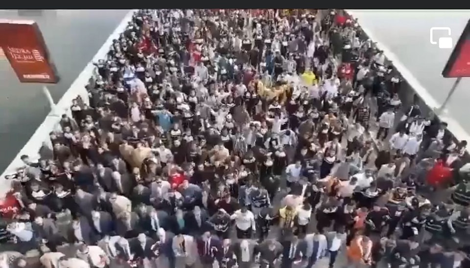 حشاود المصريين حشاود المصريين