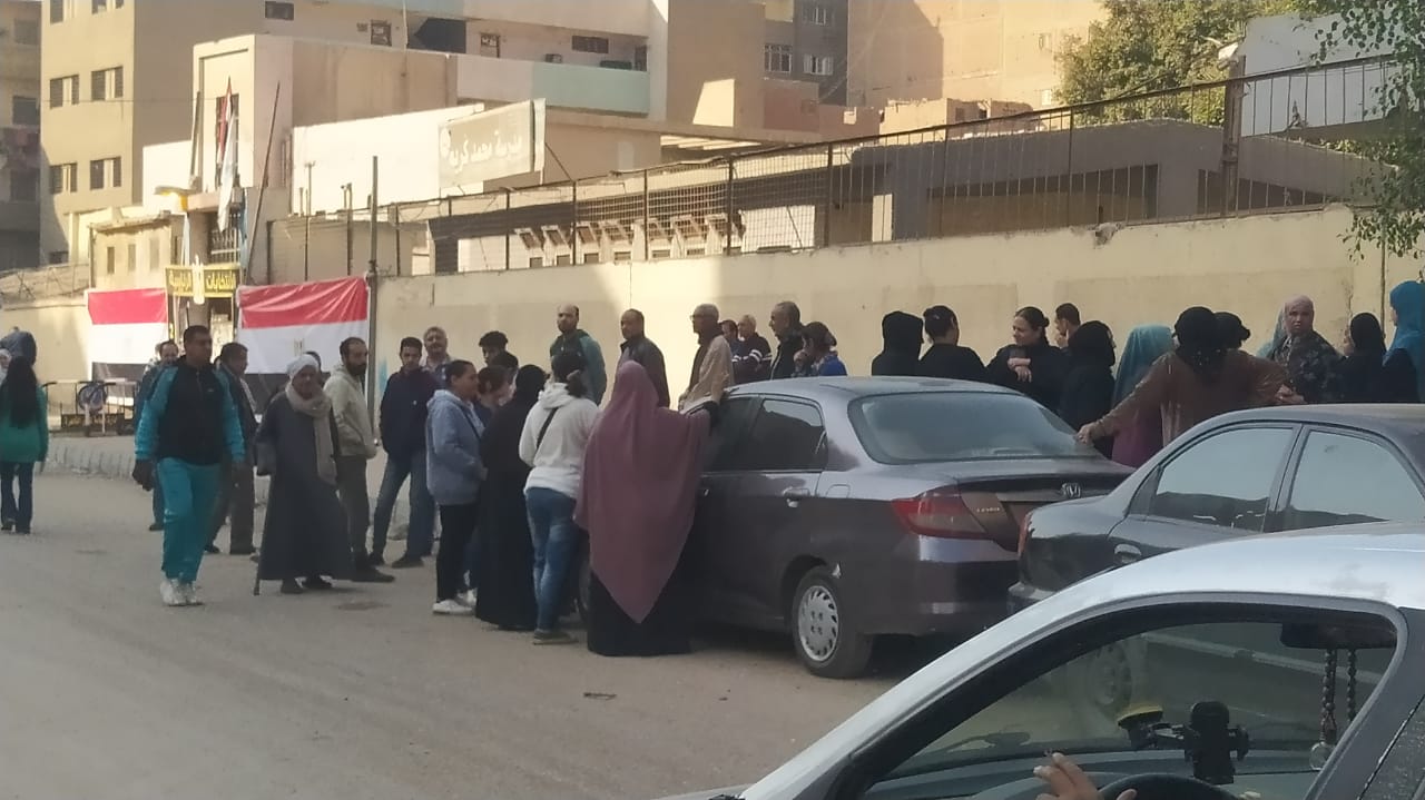 لجان عزبة النخل (2)