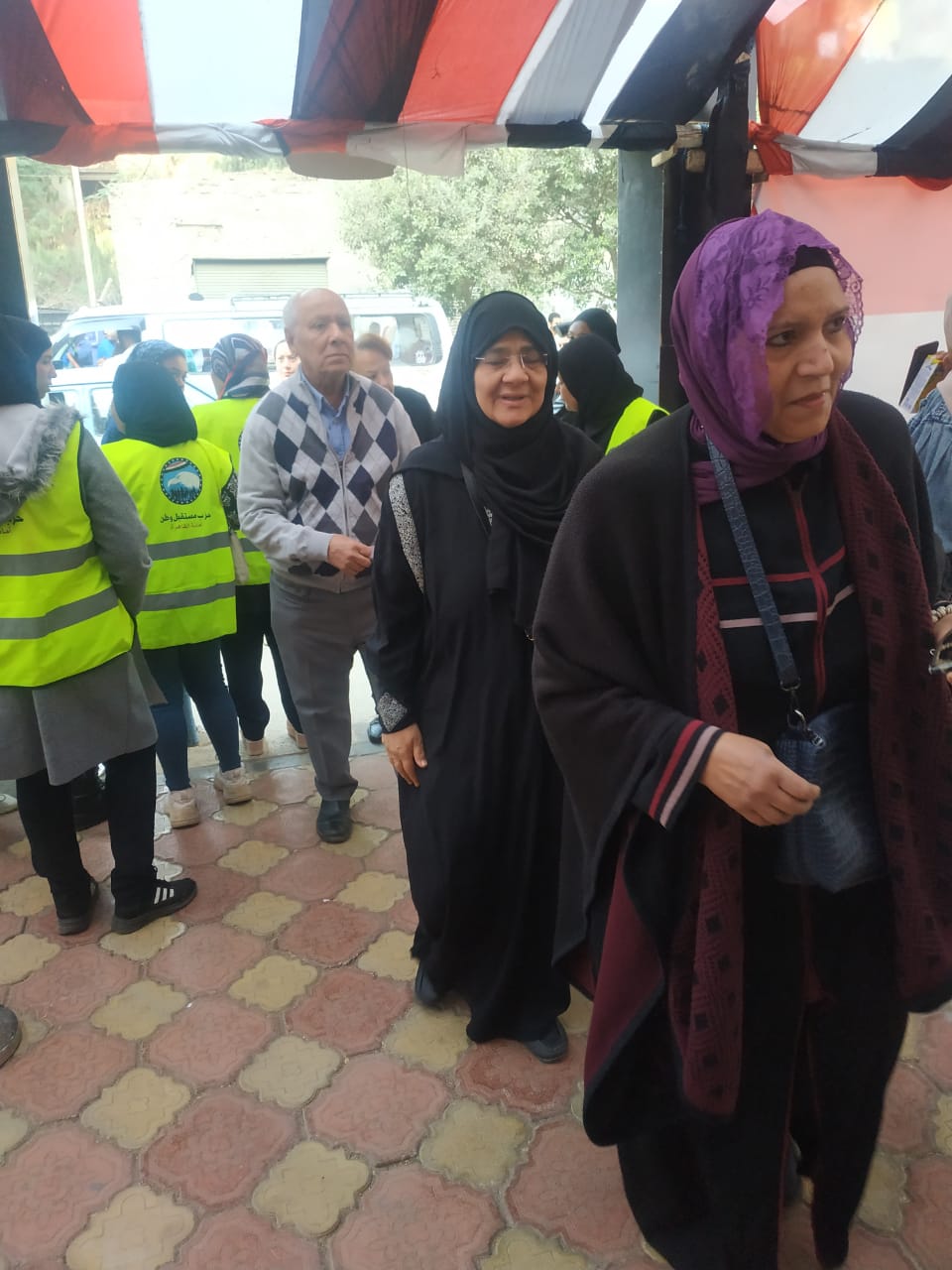 كبار السن أمام لجان الزيتون
