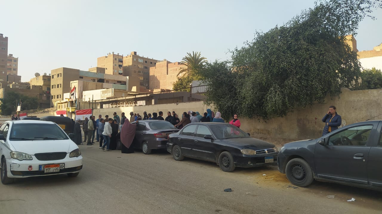 لجان عزبة النخل (1)