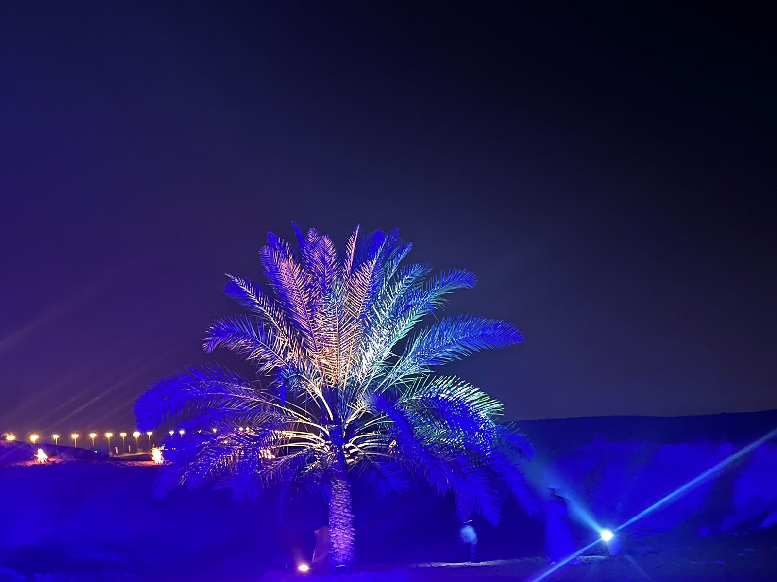 العرض المصري  ترنيمة الصحراء  يختتم فاعليات الدورة السابعة من مهرجان الشارقة للمسرح الصحراوي (7)