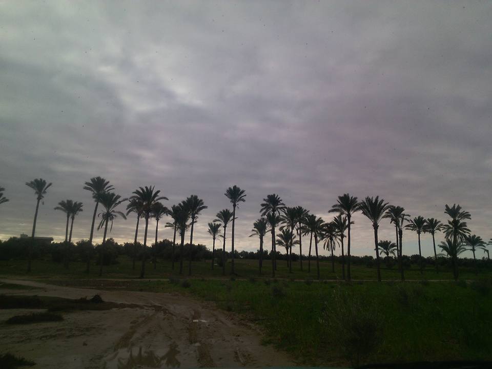 مناطق خضراء سبخة الشيخ زويد