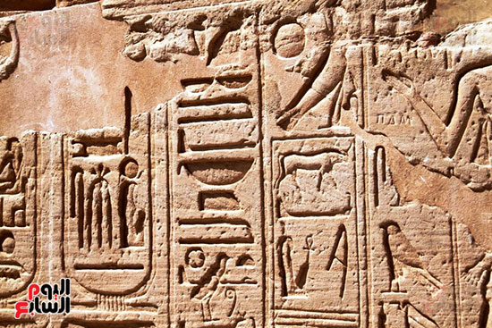 اللغة-المصرية-القديمة
