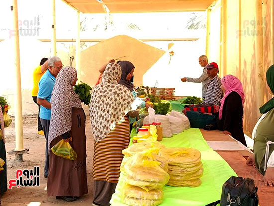 معرض-القرية-المنتجة-بالخارجة-بالوادي الجديد--(4)