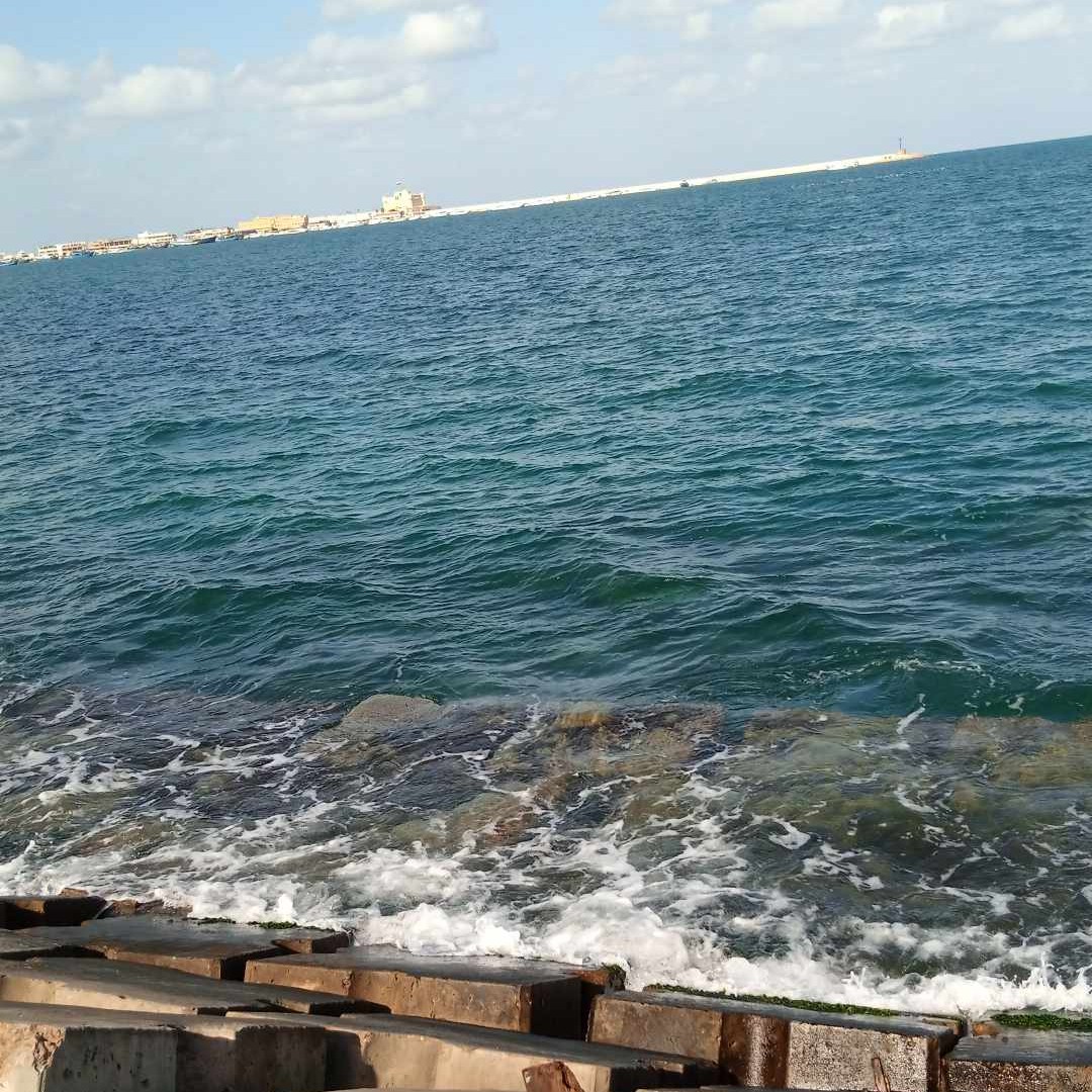 طقس  الإسكندرية اليوم  وهدوء حالة البحر