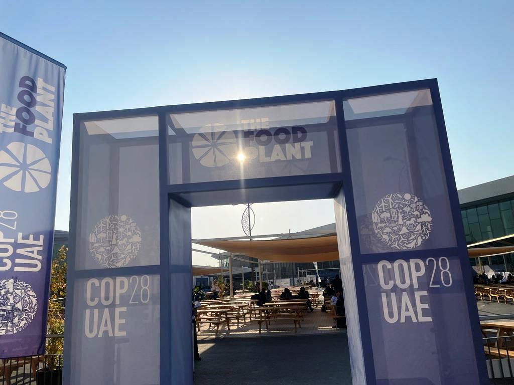 COP28