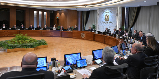 مجلس الوزراء (6)
