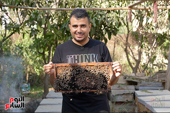 الزميل محمد محسوب وحلقة خاصة عن تربية النحل