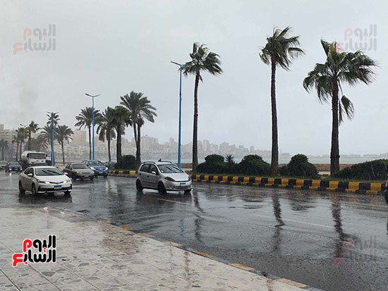 أمطار-غزيرة-وانخفاض-درجات-الحرارة-في-الاسكندرية