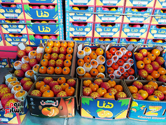 محصول-البرتقال-المصري