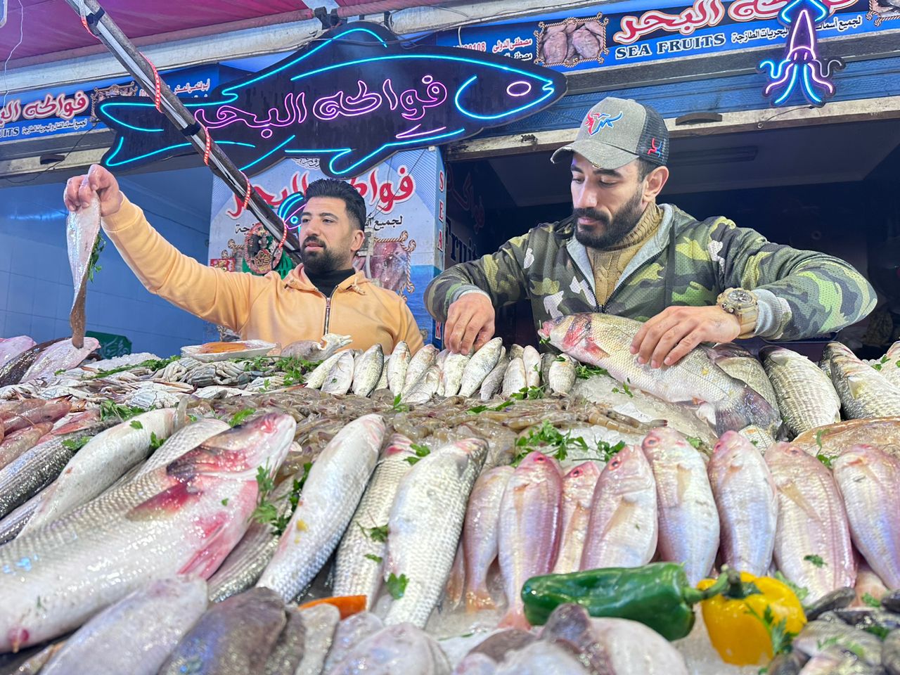 محلات الأسماك ببورسعيد