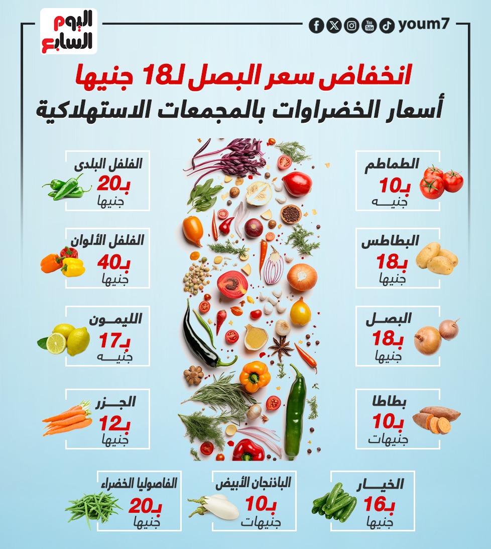 انفو جراف انفو جراف