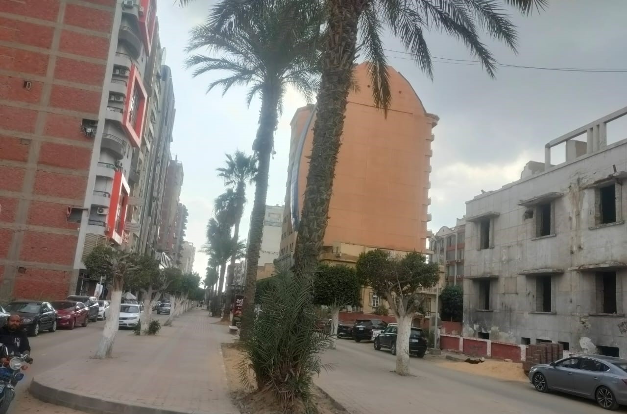 ممشي شارع السلطان حسين (10)