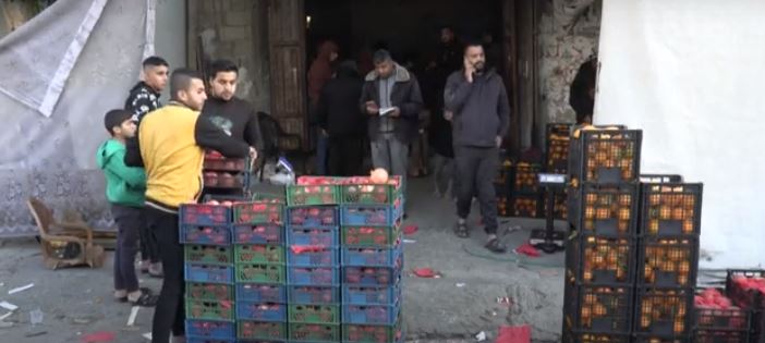 الفاكهة فى غزة