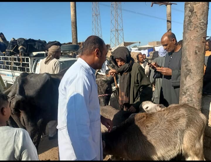 حماية الثروة الحيوانية فى سوق الماشية الأسبوعي بمدينة إسنا