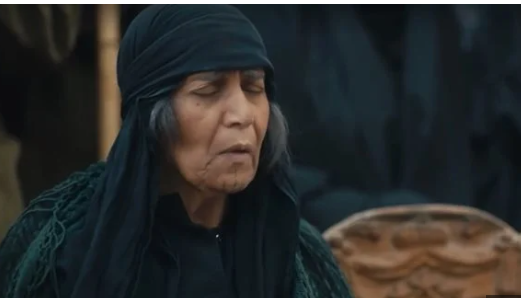عايدة فهمي