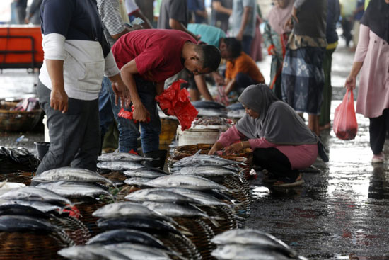 سوق السمك فى ميناء لامبولو