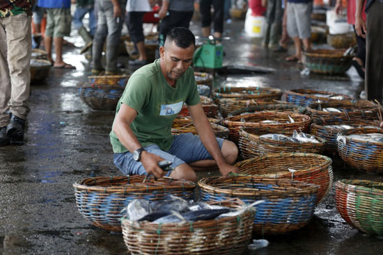 احد الصيادين يبيع الاسماك فى مزاد ميناء لامبولو  (2)