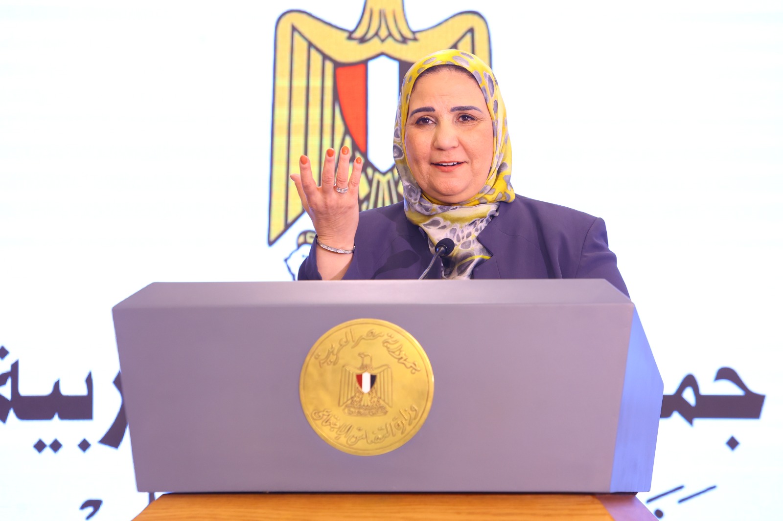 الدكتور نيفين القباج وزيرة التضامن