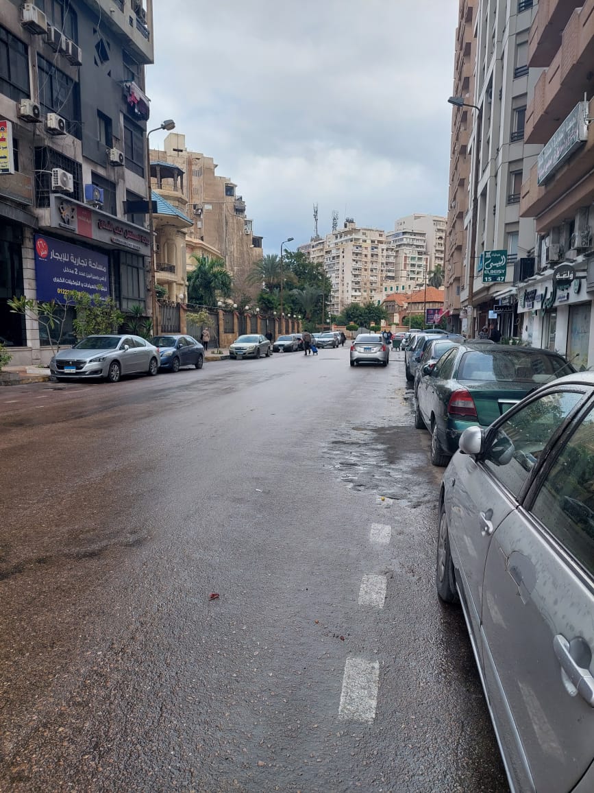 طقس الإسكندرية هطول أمطار خفيفة
