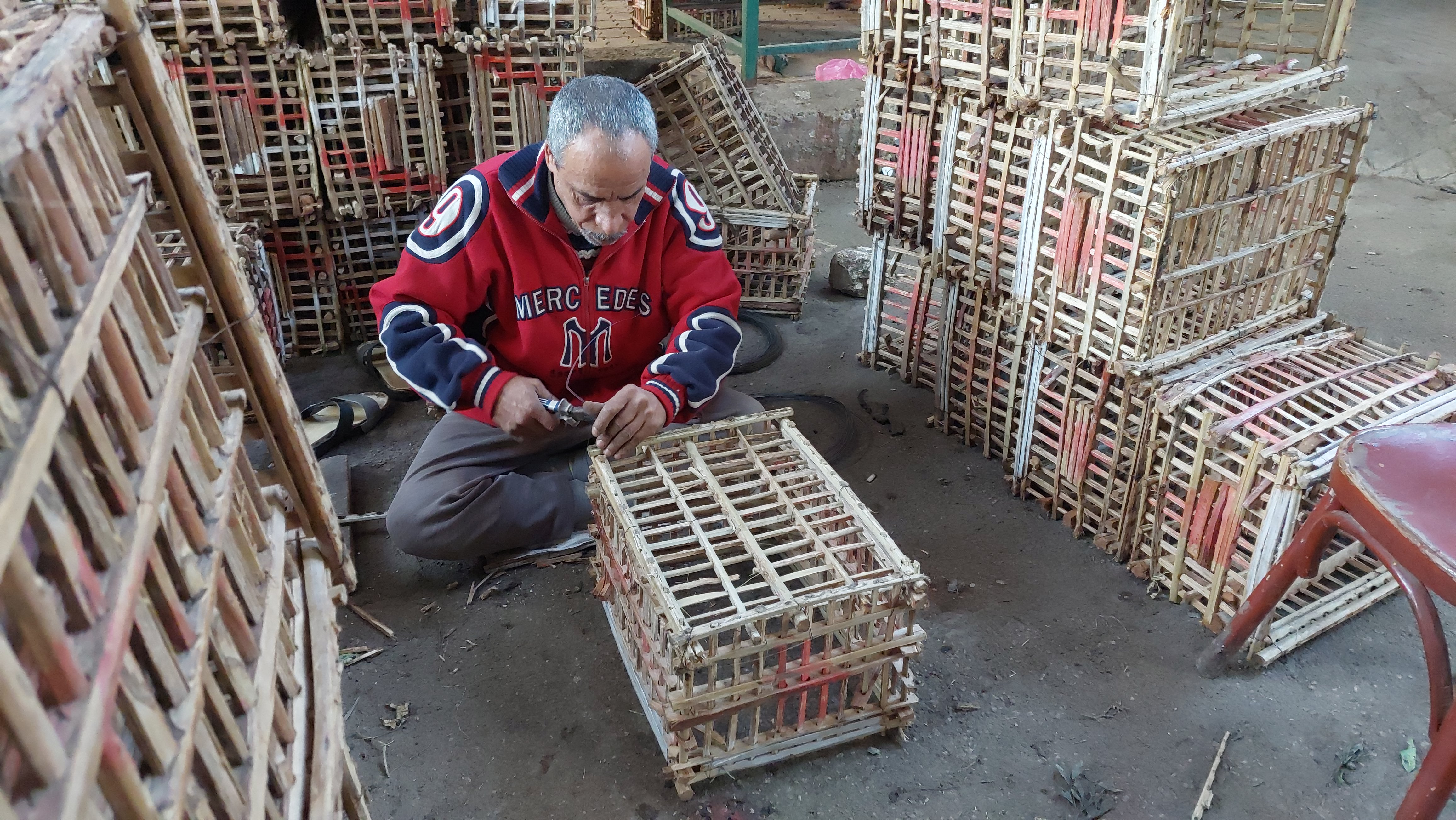 حكاية مصطفى خليفة في تجهيز الاقفاص الخشبية داخل سوق الجملة بالمحلة (8)