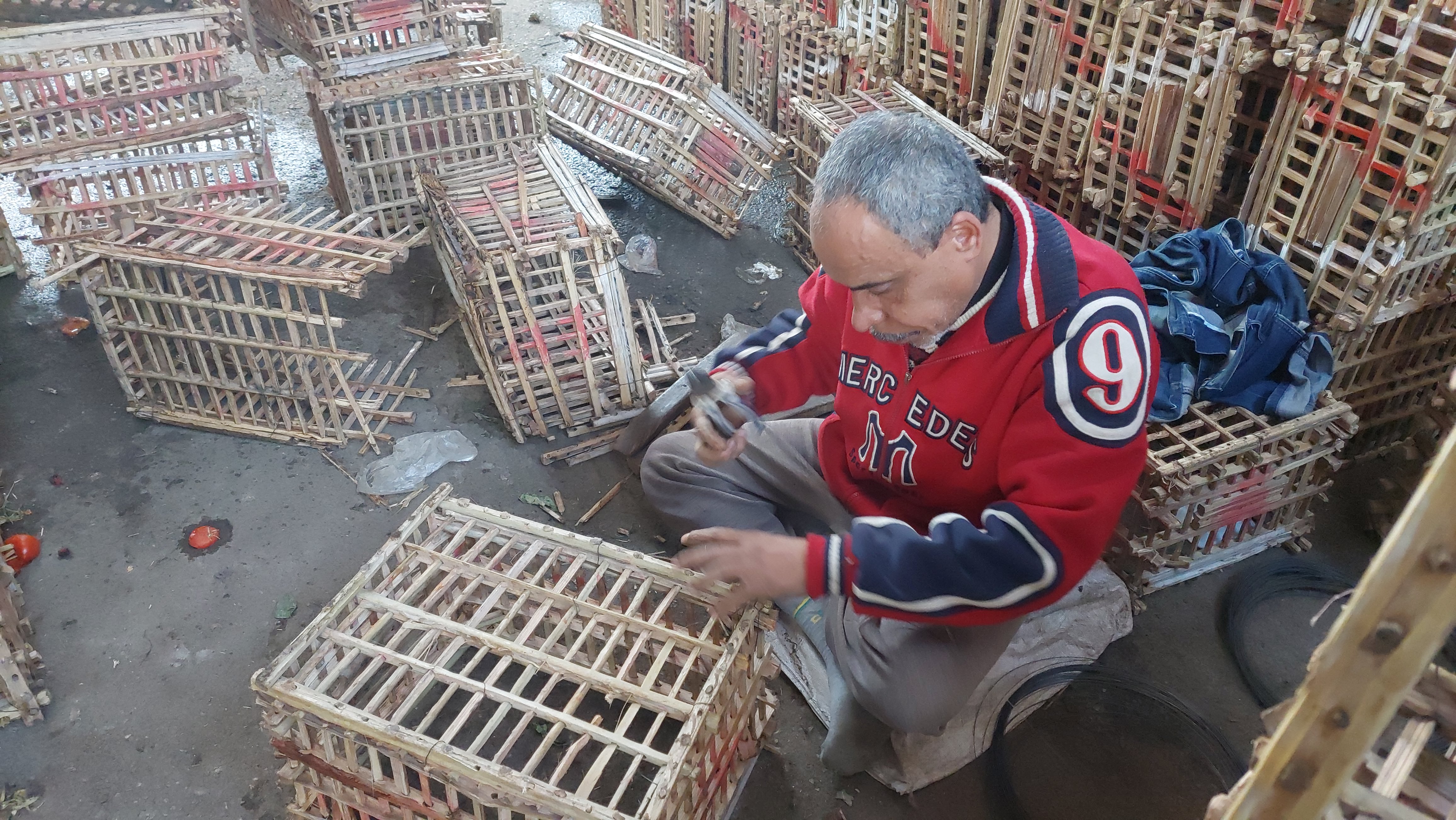 حكاية مصطفى خليفة في تجهيز الاقفاص الخشبية داخل سوق الجملة بالمحلة (6)