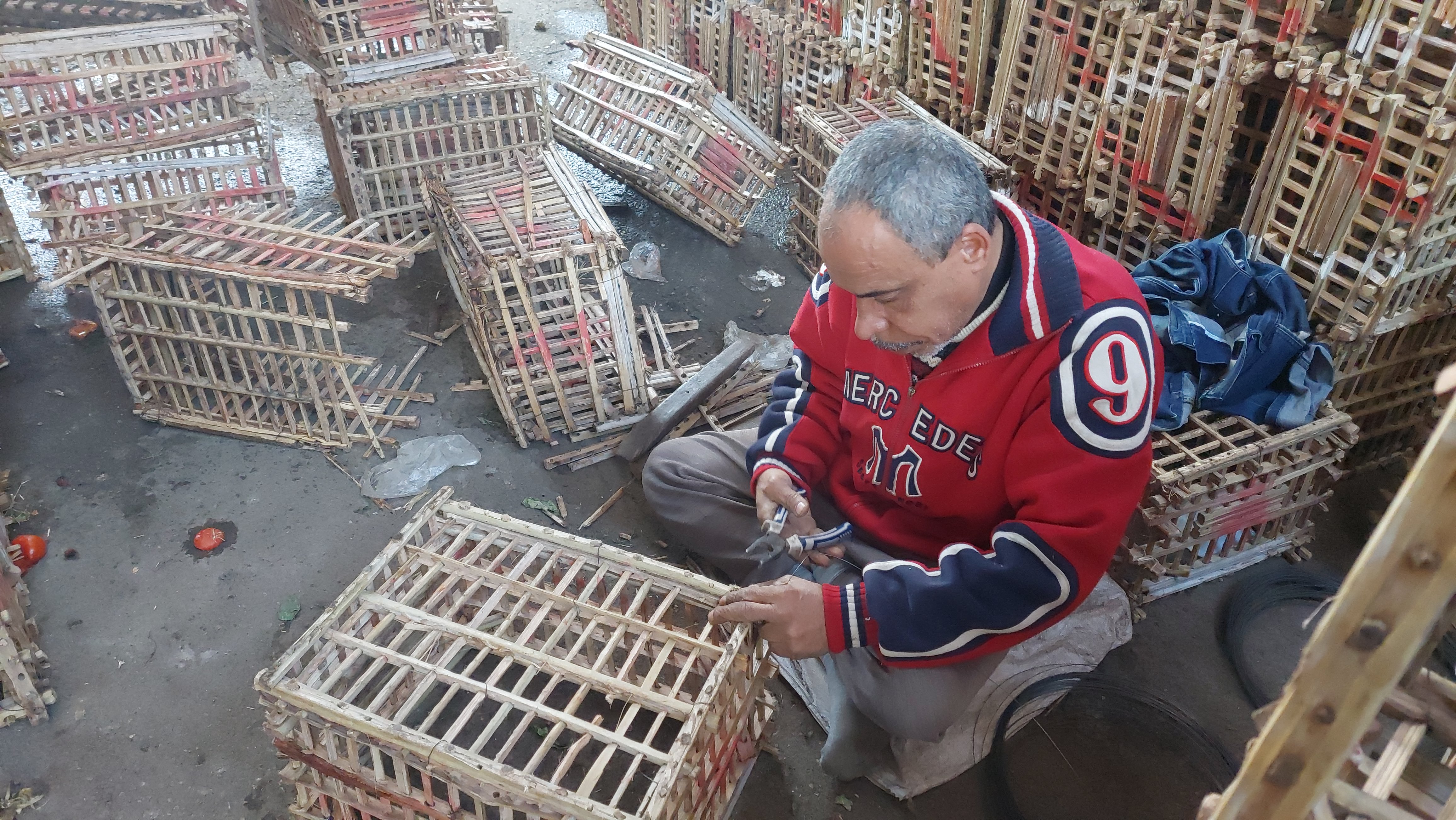 حكاية مصطفى خليفة في تجهيز الاقفاص الخشبية داخل سوق الجملة بالمحلة (7)