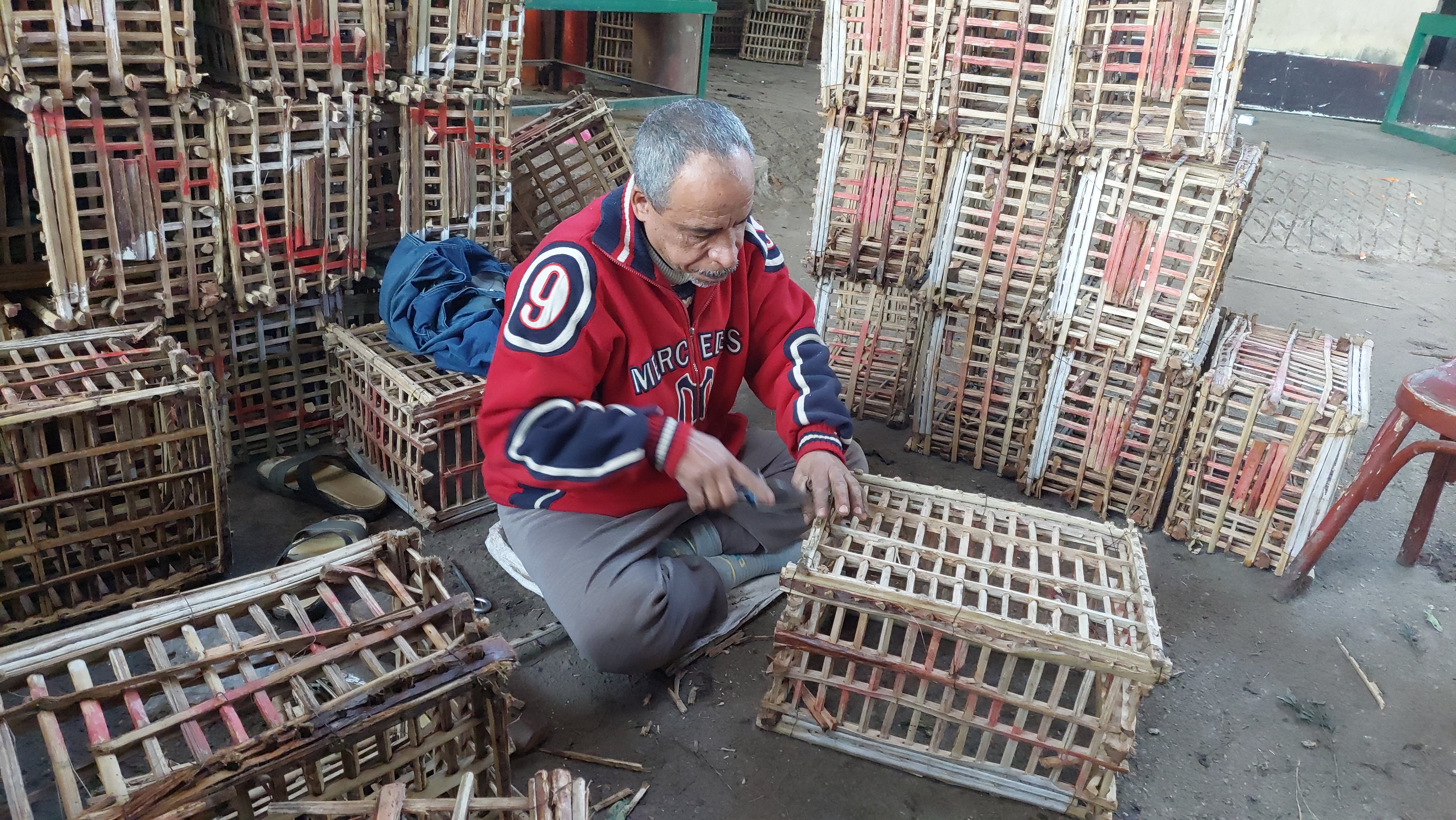 حكاية مصطفى خليفة في تجهيز الاقفاص الخشبية داخل سوق الجملة بالمحلة (1)