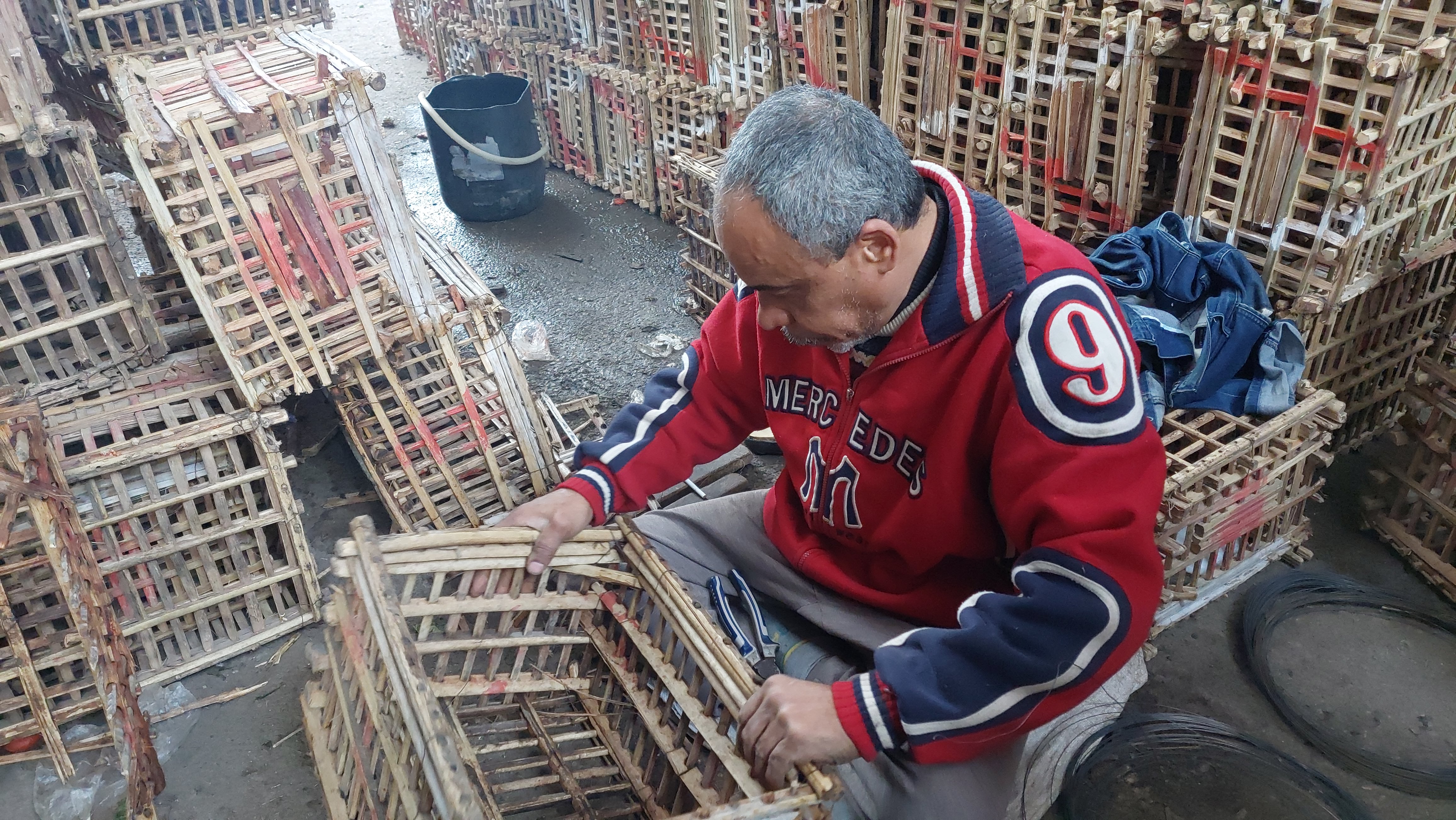 حكاية مصطفى خليفة في تجهيز الاقفاص الخشبية داخل سوق الجملة بالمحلة (2)