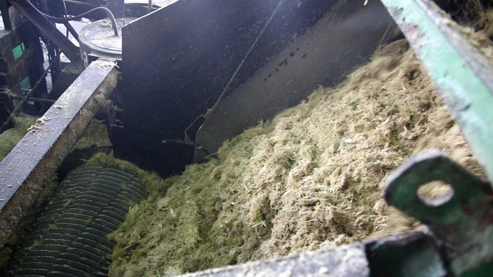 مخرجات عصير القصب داخل المصنع