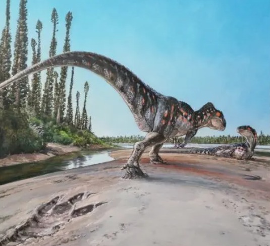 رسم توضيحى للديناصور ميجالوصور