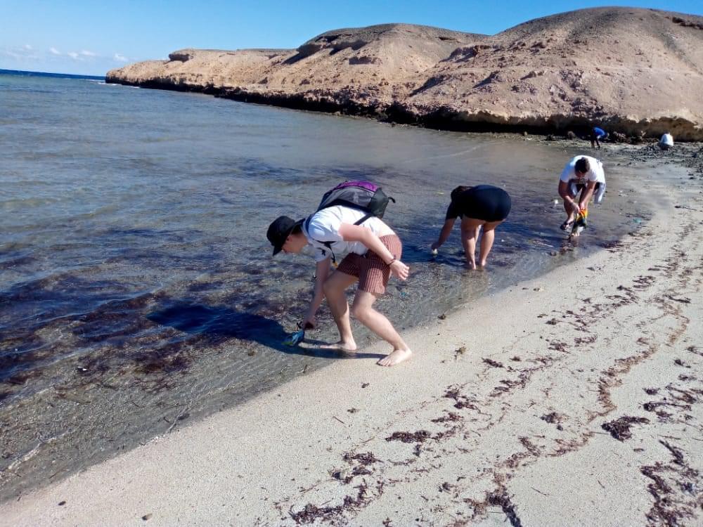 جانب من مشاركة السياح لتنظيف الشواطئ بمرسى علم 