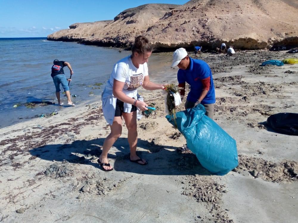 الأجانب يقومون بتنظيف الشواطئ