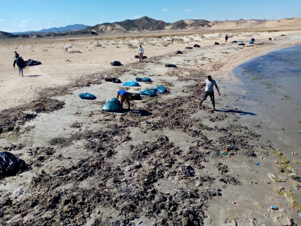 النظافة وحمع القمامة فى أكياس 