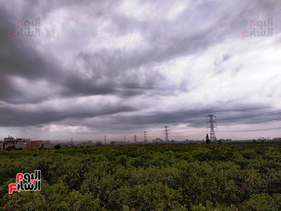 السحب-الممطرة-بسماء-القليوبية السحب-الممطرة-بسماء-القليوبية