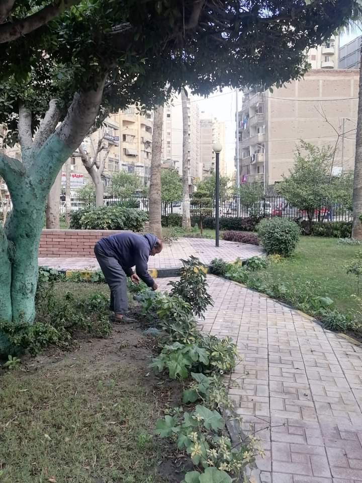 رفع كفاءة حدائق حي المنتزة