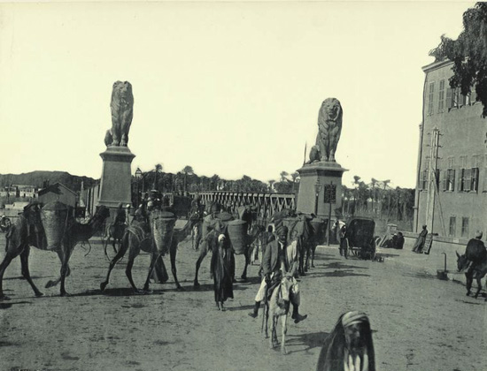 قصر-النيل-معبر-حيونات
