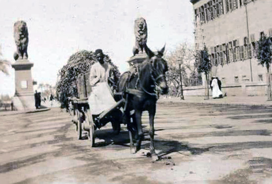 كوبري-قصر-النيل-بالقاهرة---مصر---عام-١٩١٠.