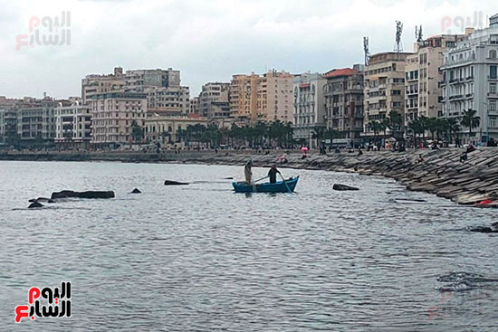 هدوء-وممارسة-الصيد-في-الاسكندرية