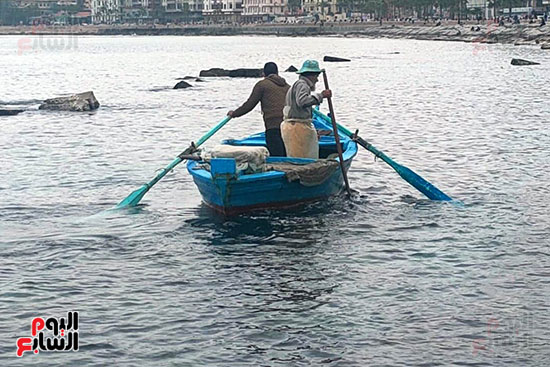 حركة-الصيد-في-الاسكندرية